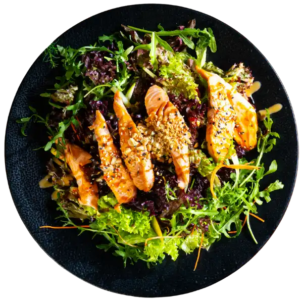 13. FUSION SALAT